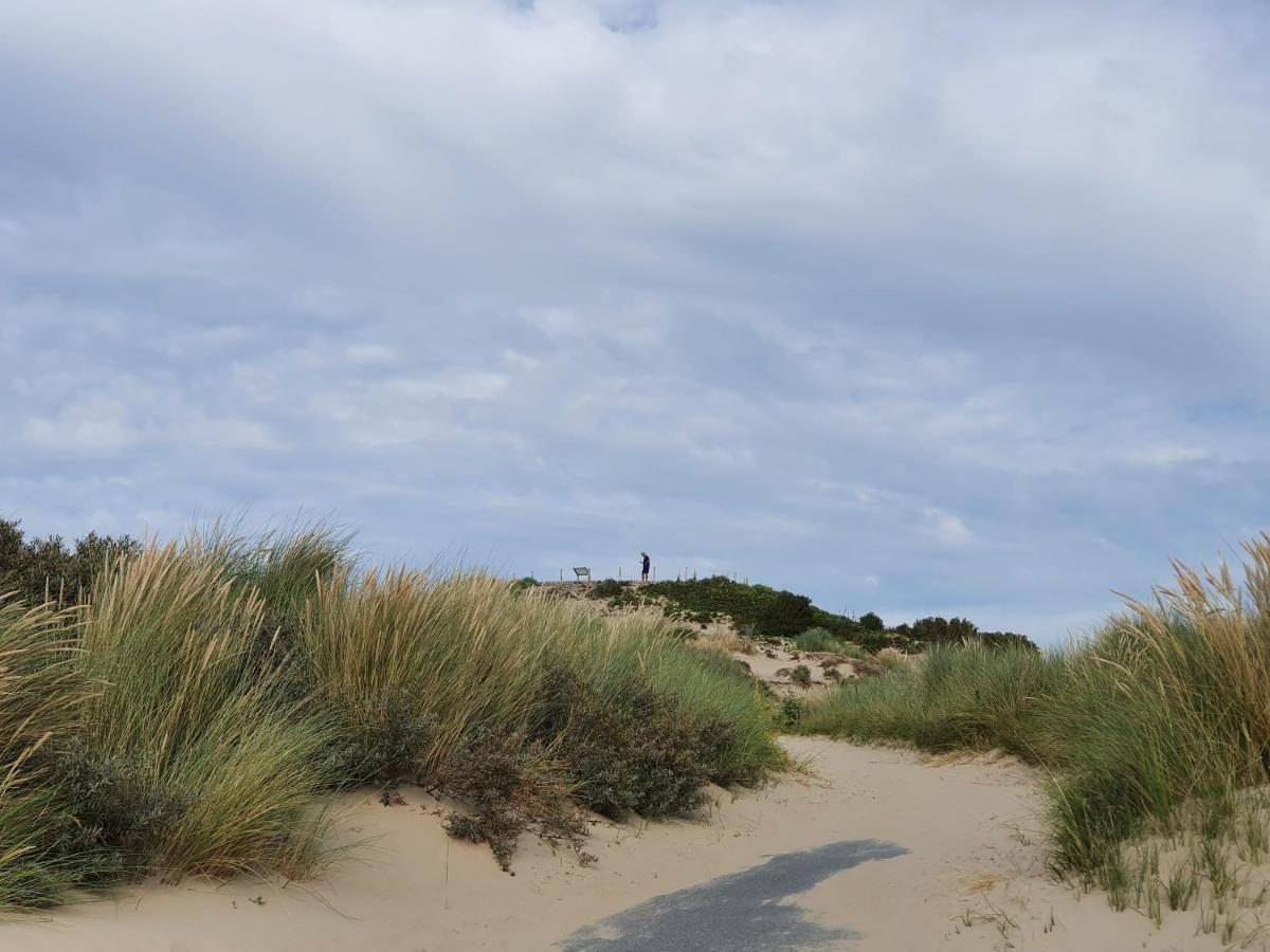 לינה וארוחת בוקר האג Scheveningen Sea Side מראה חיצוני תמונה