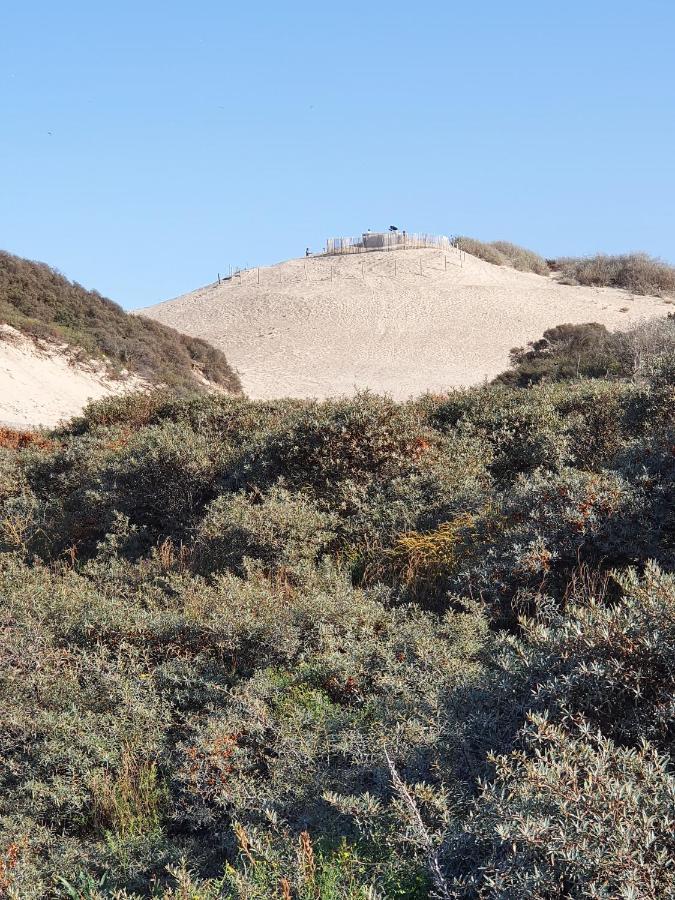 לינה וארוחת בוקר האג Scheveningen Sea Side מראה חיצוני תמונה