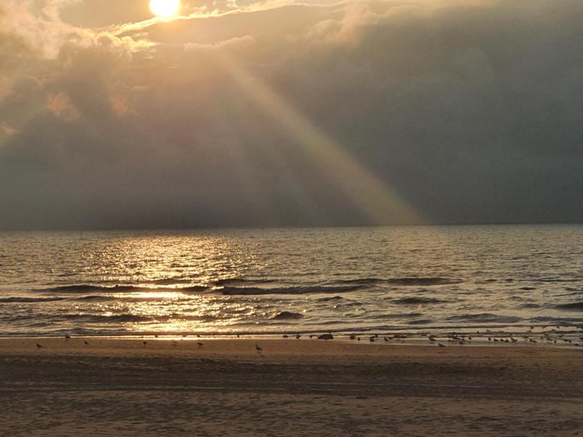 לינה וארוחת בוקר האג Scheveningen Sea Side מראה חיצוני תמונה